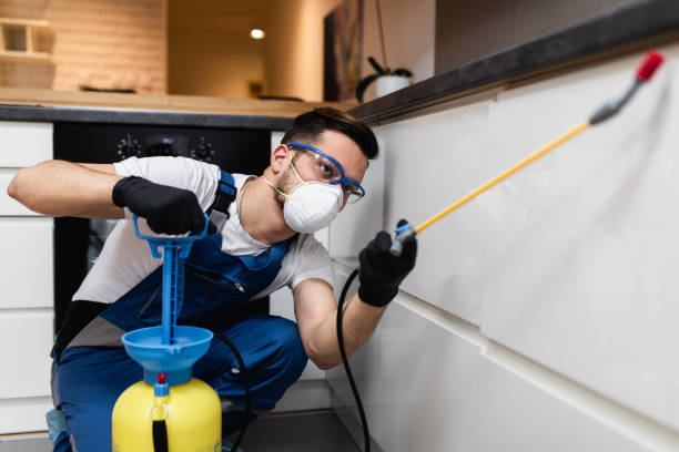 Best Commercial Pest Control Services  in Dunstan, ME
